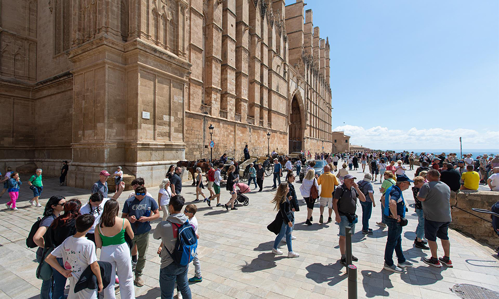 ✈️ ¿El Gobierno Quiere Rellenar Océanos o Solo Reducir Viajes? (0.9%)