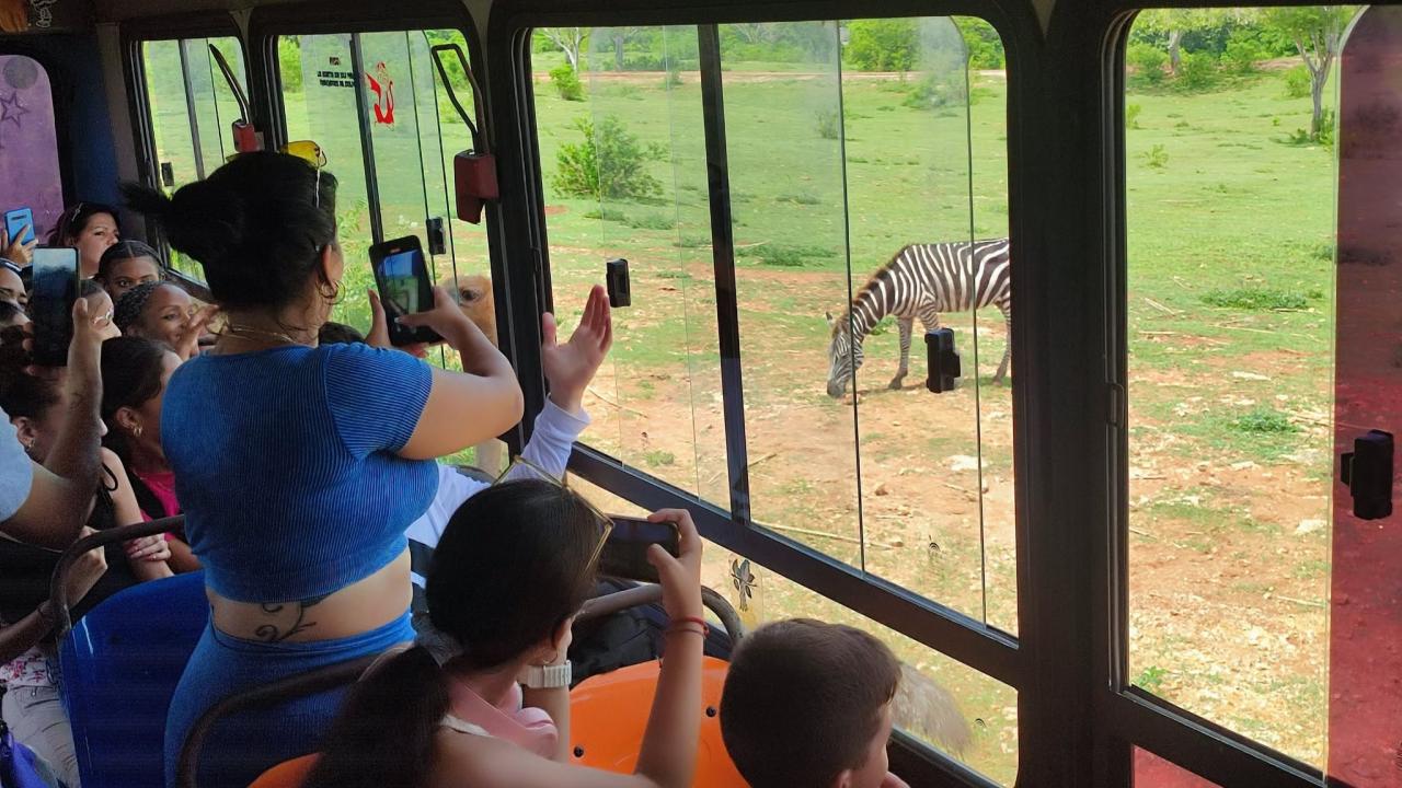⚡ ¿El Zoológico Nacional de Cuba Cierra o Solo Pasa De Ser La Nueva